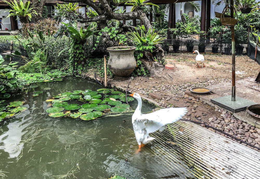 アヴァニ パタヤ リゾート（AVANI Pattaya Resort）のガーデン４